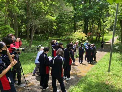 学校林を使った森林環境教育