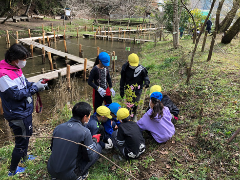 学校林を使った森林環境教育