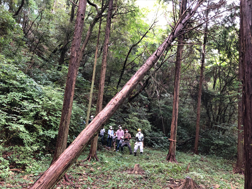 ジュニア・フォレスターズ・スクールの実施