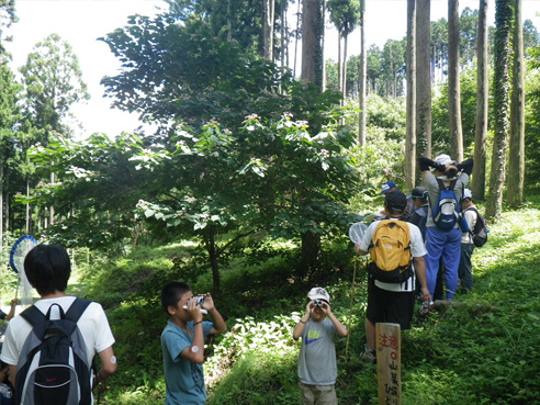 ジュニア・フォレスターズ・スクールの実施