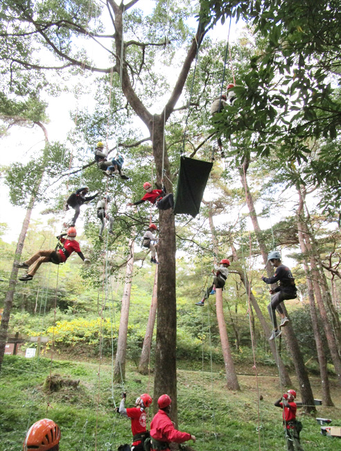 ツリークライミングの実施