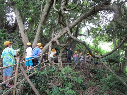 学校林を使った森林環境教育