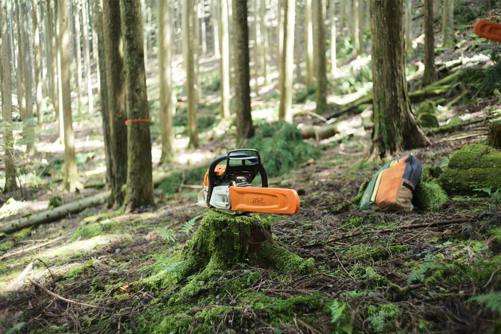 未来の理想の山をデザインする