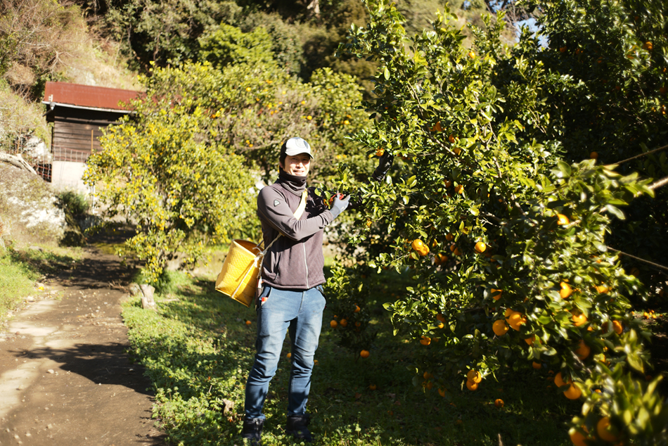 農業の体験が林業の原動力に