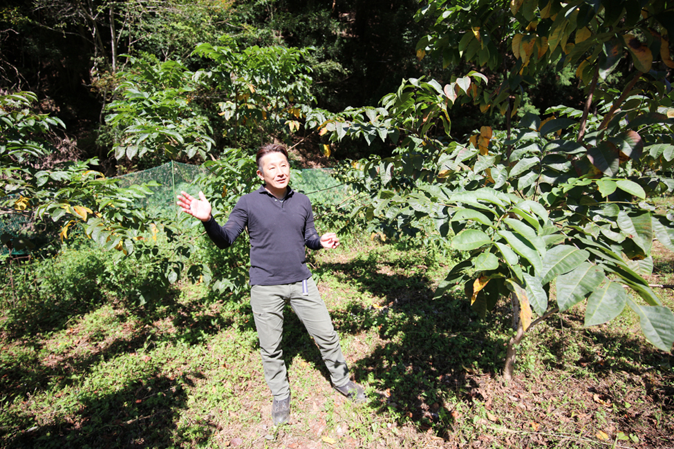 漆栽培の展望を話す宮本さん