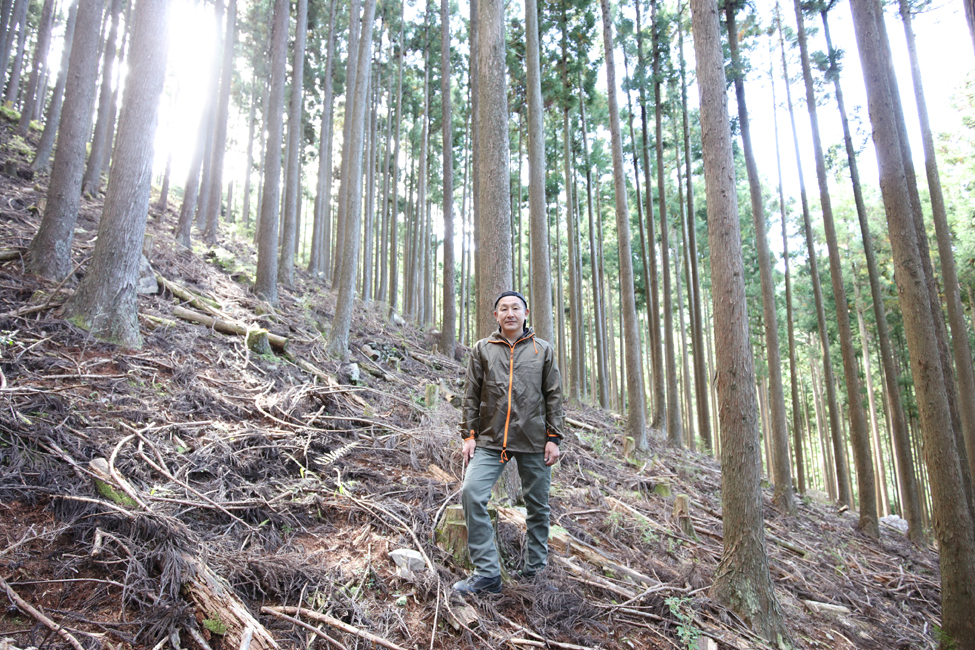 真正面から山と向き合う
