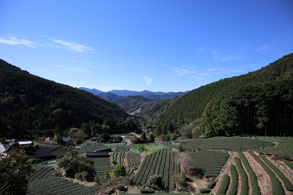 美しい清沢の集落