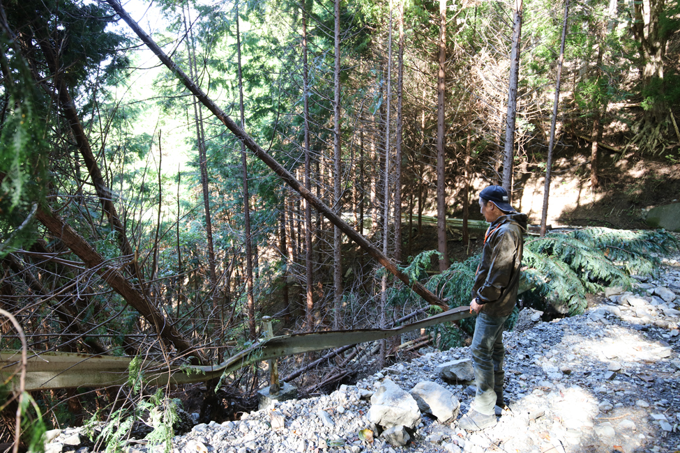 台風15号の爪痕