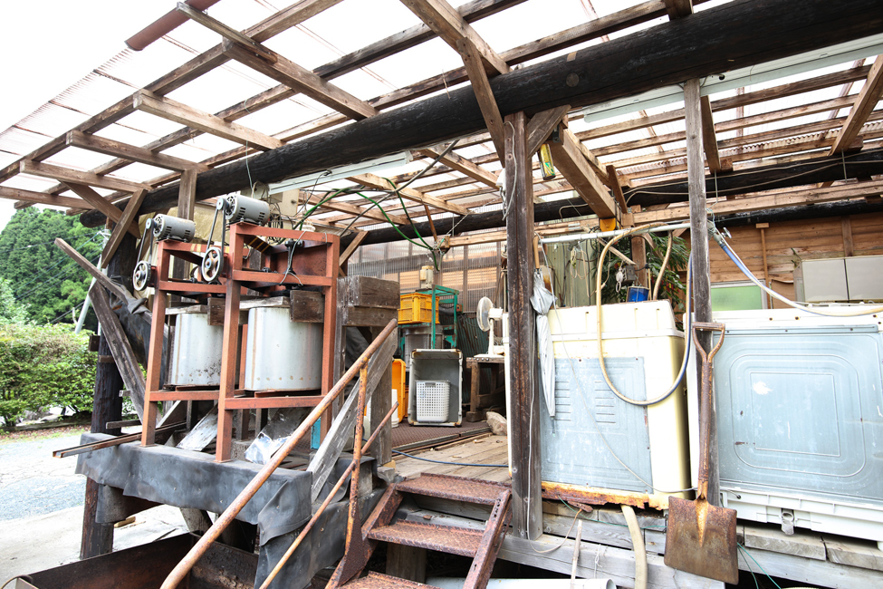 ここでギンナンの出荷作業を行う