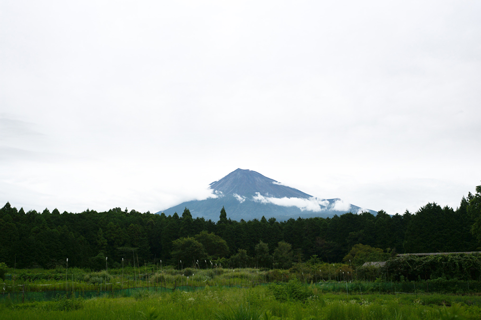 キリリとした表情の富士山