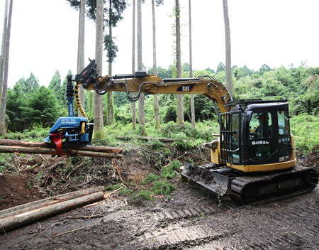 枝を払い必要な長さにカットする