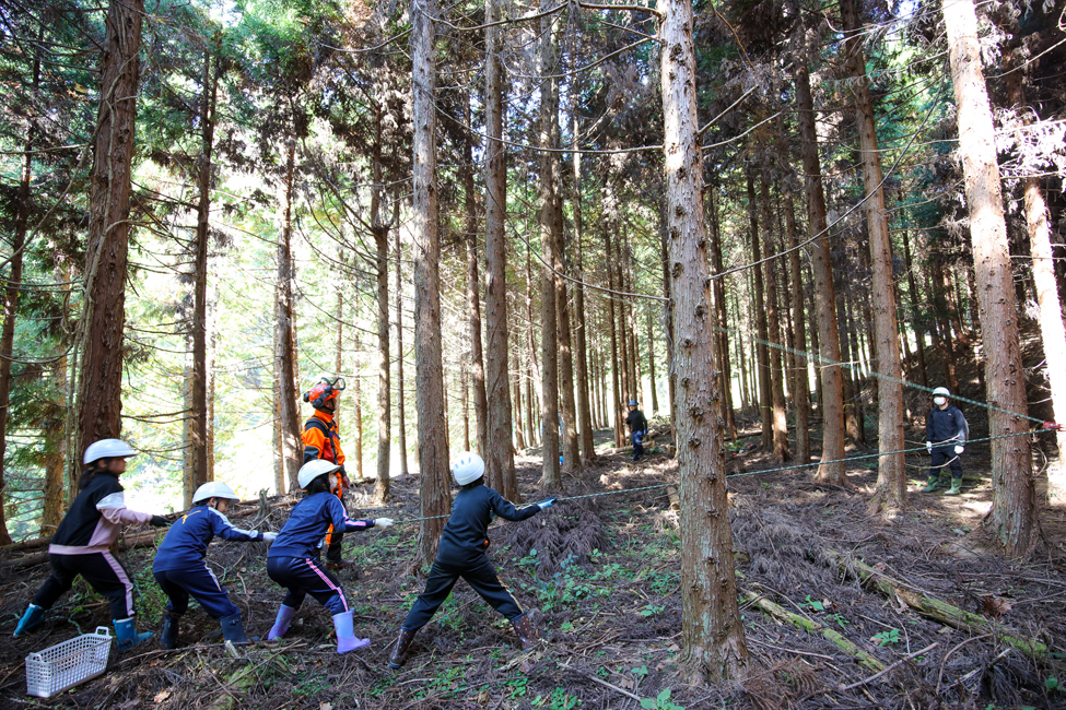 まるで絵本『おおきなかぶ』のよう