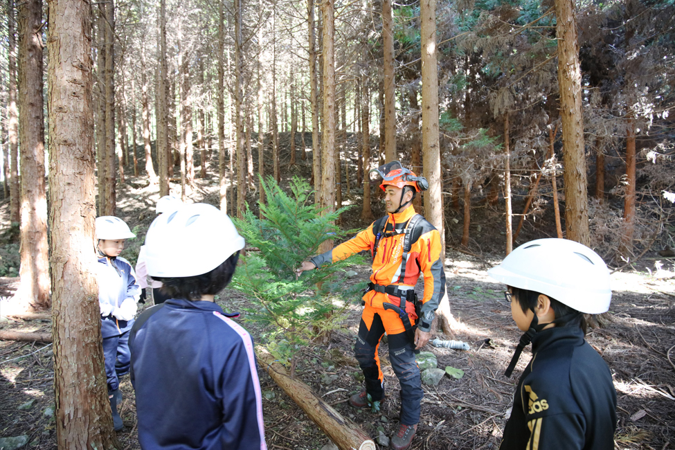 木のてっぺんを子どもたちに見せる