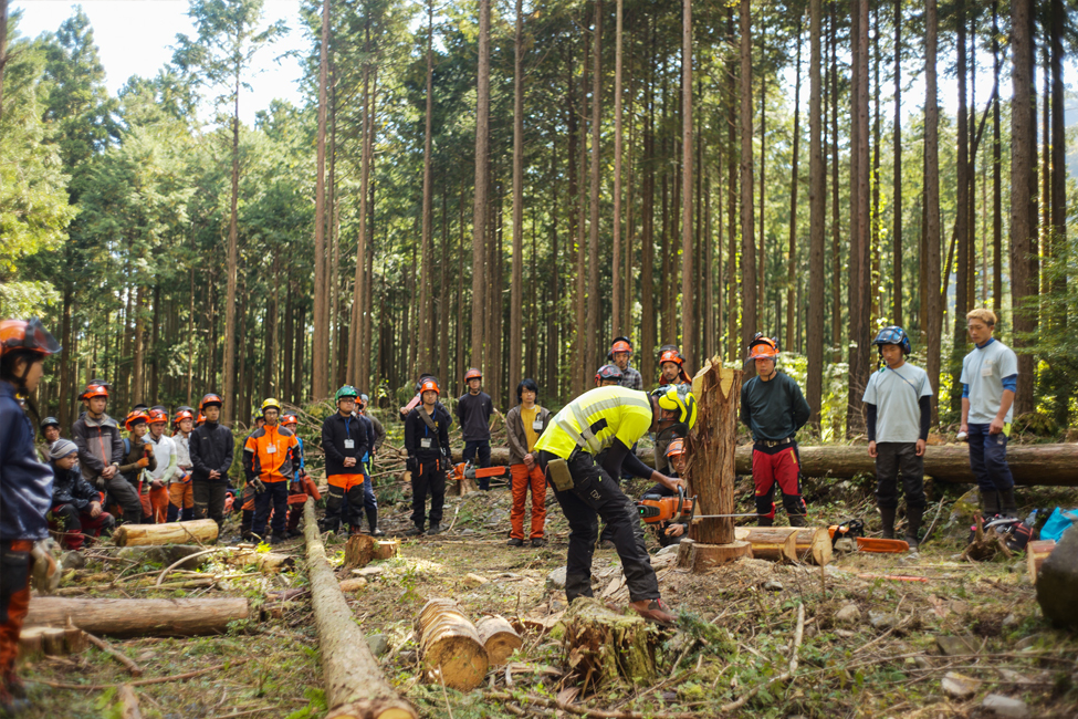 林業研修の様子